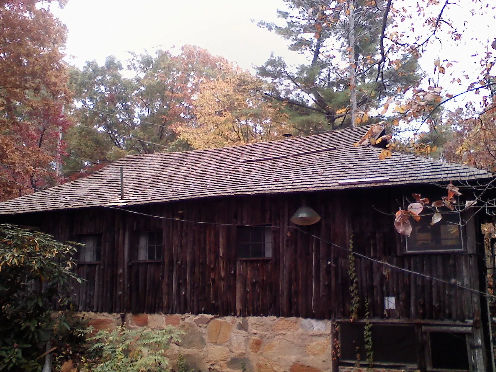 Weathered wood shake roof on a rustic board sided cabin in Mount Olivet