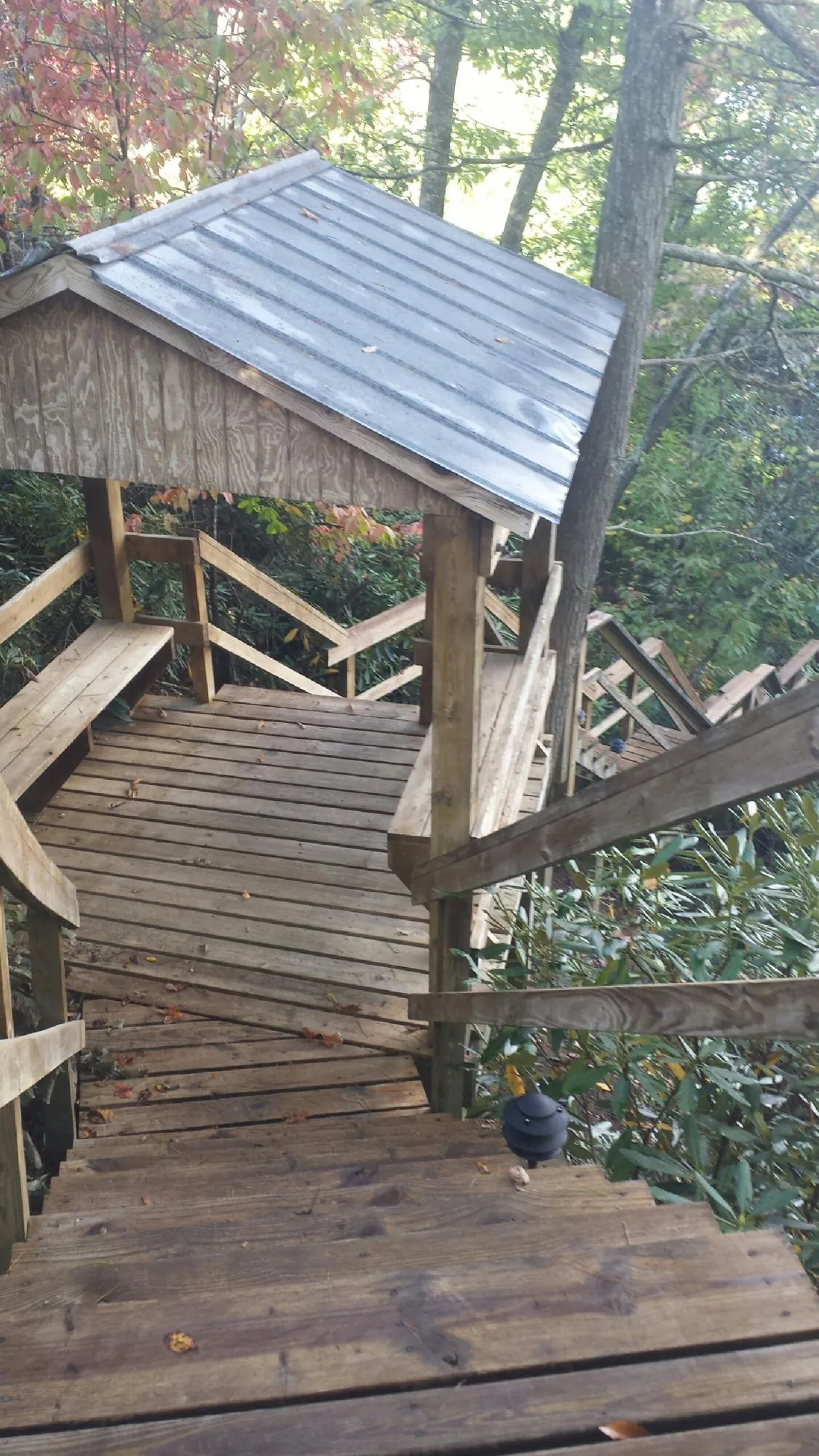 Metal roofed shelter over wooden steps on a wooded walkway — Skylight Repair & Installation work by our crew in Mount Olivet